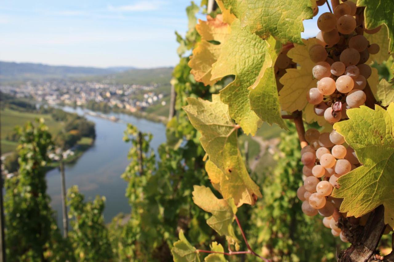 Weingut Markus Junglen Krov Ngoại thất bức ảnh